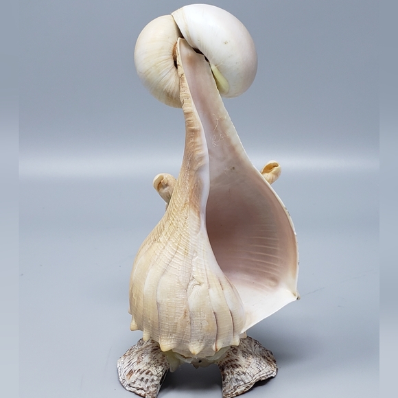 E.T. Seashell Art Collection - Picture 3 of 10